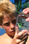 boy with bug in jar learning at home
