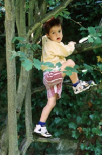 boy climbing tree in nature to work off excess energy