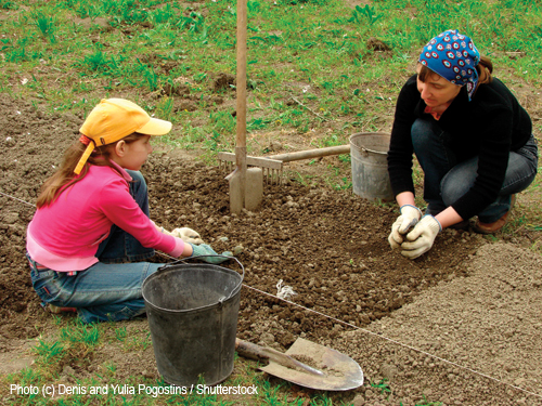 permaculture learning at home